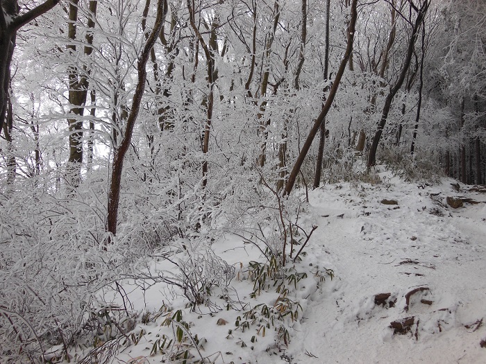 途上人KITANO 2014年金剛山雪中登山2