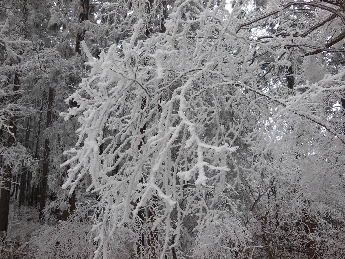 途上人KITANO 2014年金剛山雪中登山5