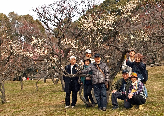 13期歩こう会2014年2月 枚岡梅林